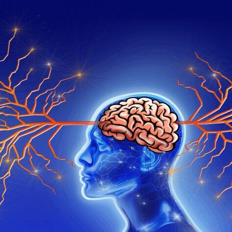 Human brain with neural connections illustration.
